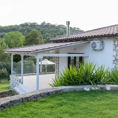 Olvia فوروفورو